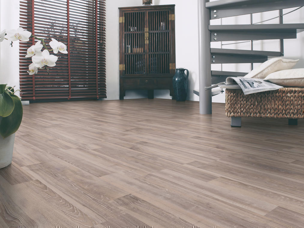 Esche Laminat