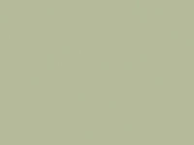 Schichtstoff 22458 avocado green, MN natur matt