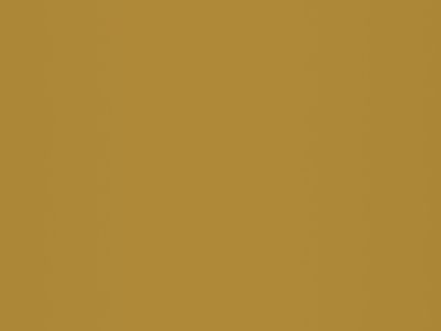 Magnethaftplatten curry