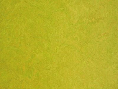 Linoleumboden Grün, Klick, gerade Kante