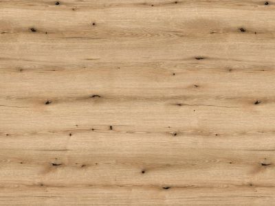 Wand-Design-Platte K365 Coast Evoke Oak, FN flanders oak, nassraumgeeignet