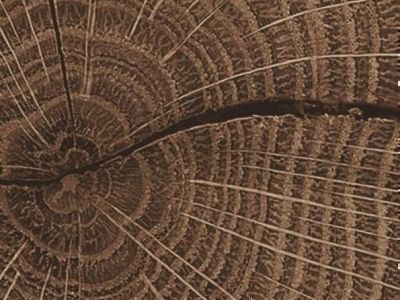 Arbeitsplatte-Kantenstreifen K5413 eiche Endgrain cognac, AW authentic wood