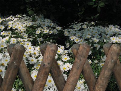 Vorgartenzaun Kaufbeuren, kesseldruckimprägniert braun