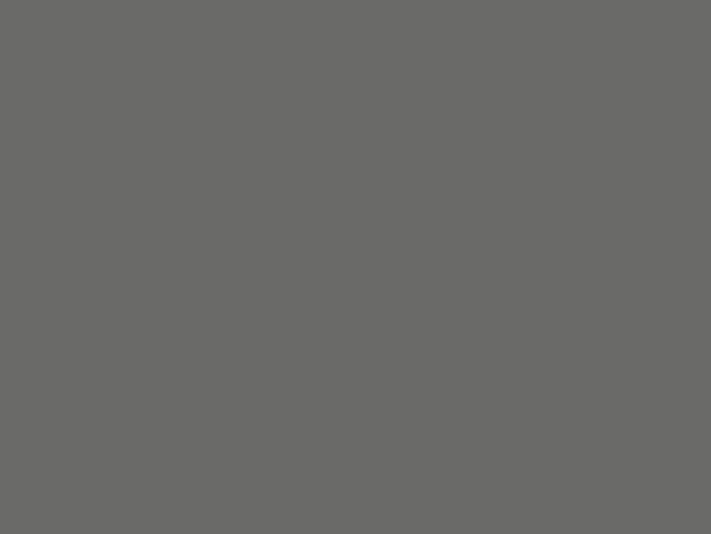 Wand-Designplatte 0171 Slate Grey, PT peetha, nassraumgeeignet