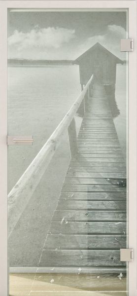 Glastür PHOTO LD 678