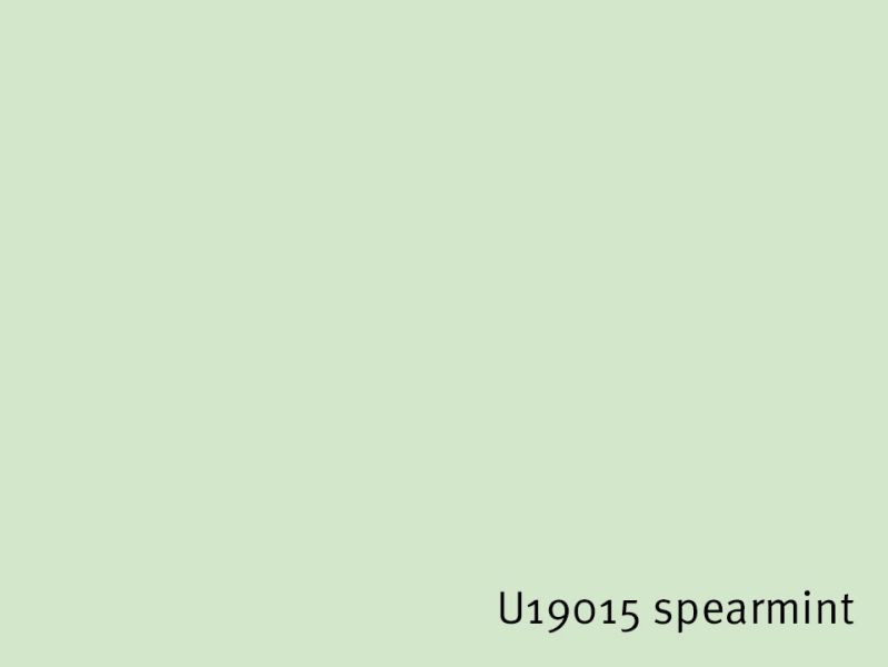 ABS-Kanten U19015 spearmint, SD sandpearl