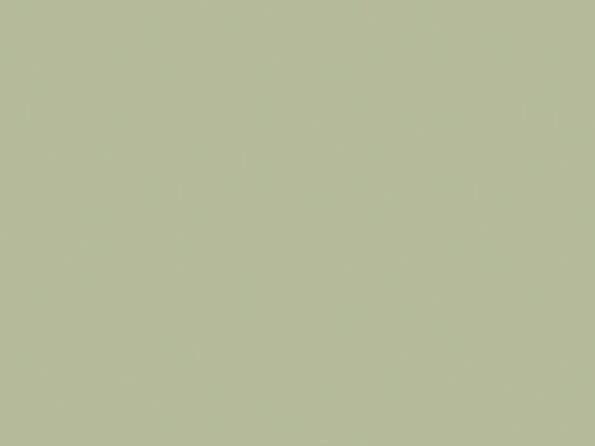 Spanplatten / MDF beschichtet 22458 avocado green, MN matt natur