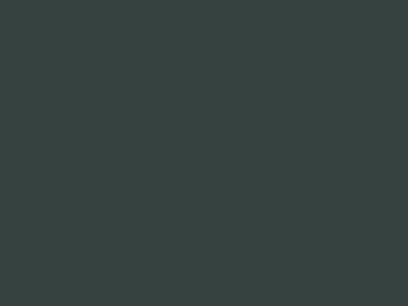 Spanplatten / MDF beschichtet 25735 black green