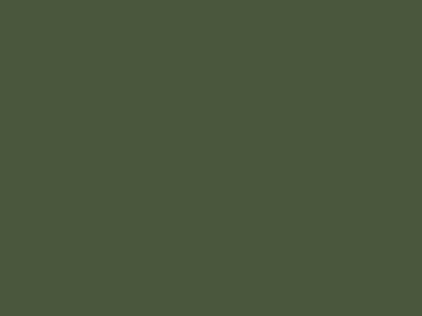 Schichtstoffplatten 25736 moosgrün, MN natur matt