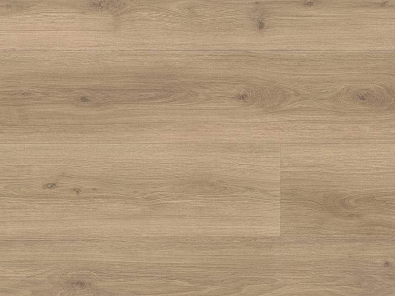 Eiche Emilia Puro, Laminatboden 1-Stab, Klick (push-down), 4-seitig gefast, Trittschall: Nein