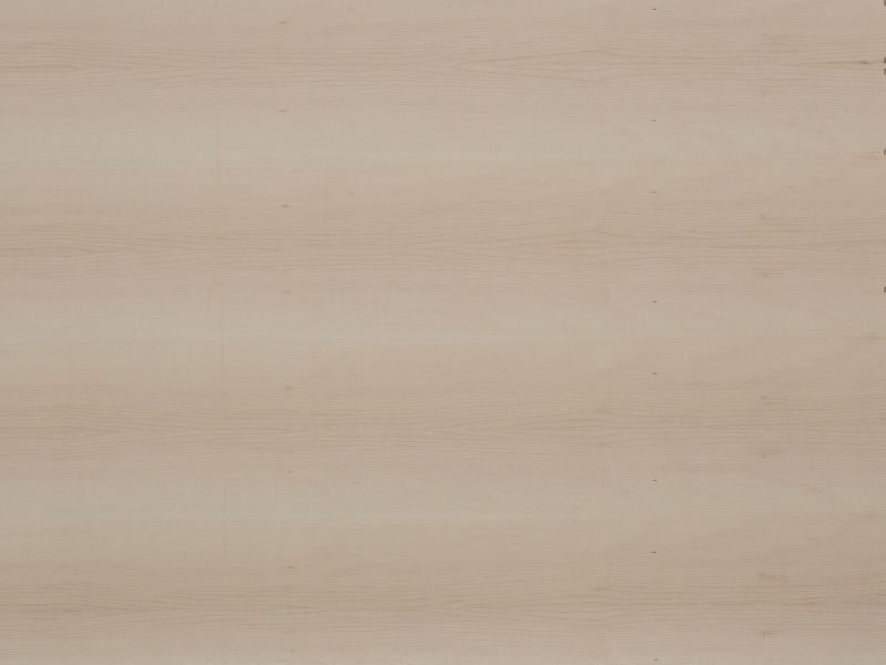 Spanplatten furniert Ahorn Maple amerik.