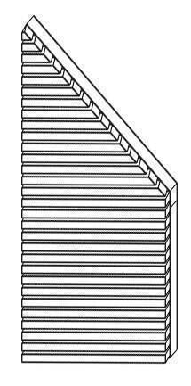 Sichtschutz Larix Lärche