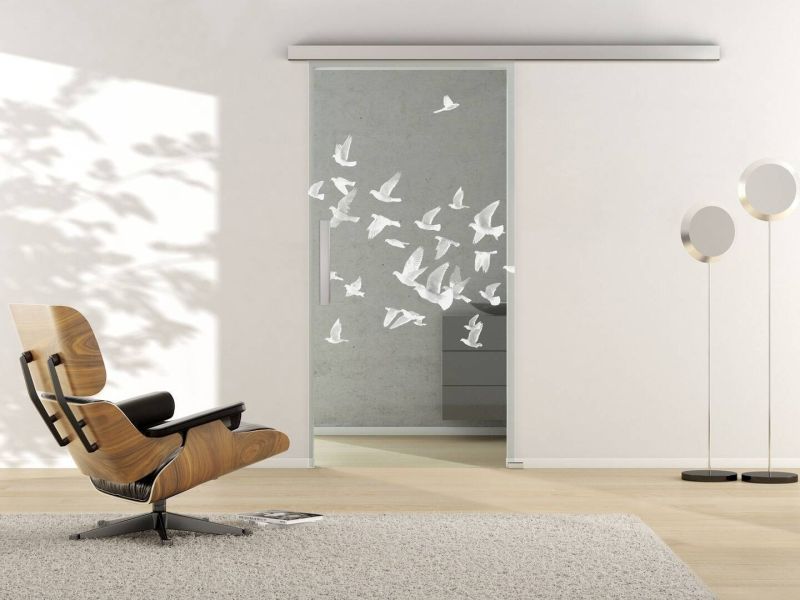 Glasschiebetüre, BIRDS LD 695, 