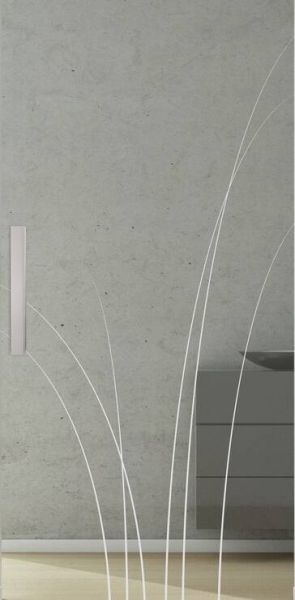 Glasschiebetüre NATURE LD 660