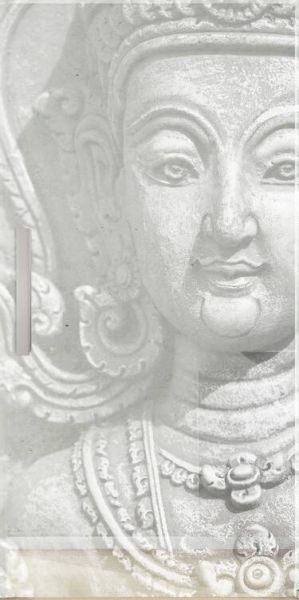 Glasschiebetüre PHOTO LD 677