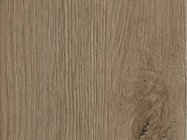 ABS-Kanten K4421 Eiche Evoke trend