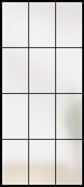 Lofttüre LINESPLUS SATINATO TYP 12