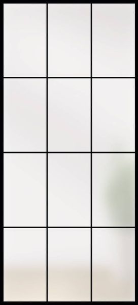 Lofttüre LINESPLUS SATINATO TYP 12