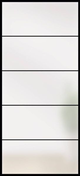 Lofttüre LINESPLUS SATINATO TYP 5