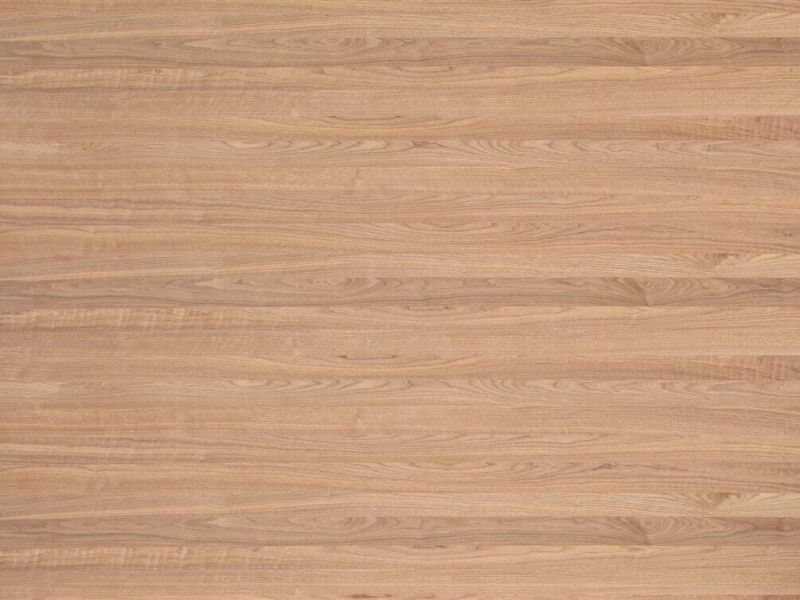 Spanplatten furniert Nussbaum amerik., Brettcharakter A/B