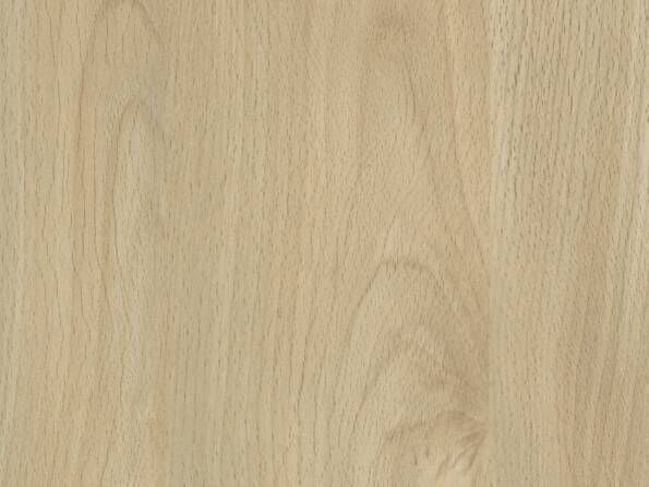 ABS-Kanten R24029 Fjord Buche hell
