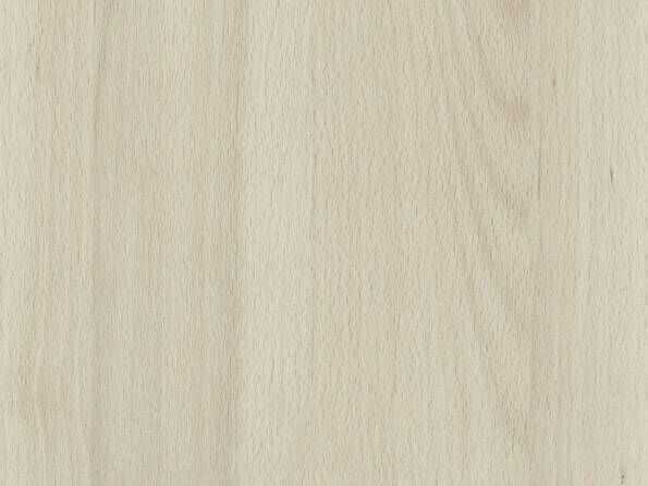 ABS-Kanten R24053 Buche Talinn