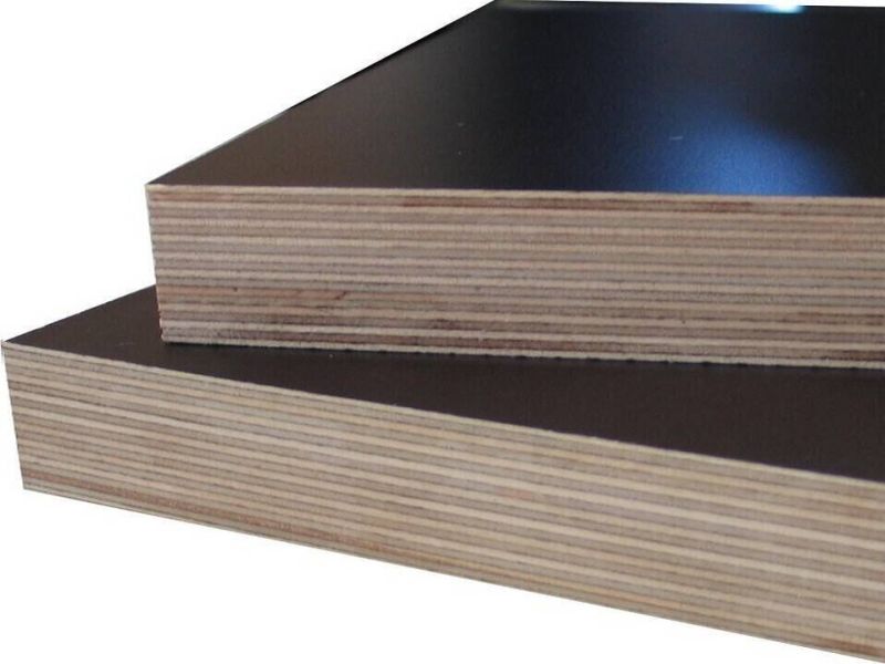 Siebdruckplatten phenolharzverleimt