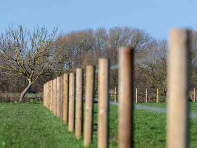 Holzpfosten für Sichtschutz und Vorgartenzäune