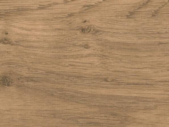 38932_Wildeiche_Detail.jpg