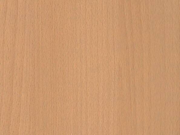 R24006_Altmühlbuche_Detail.jpg