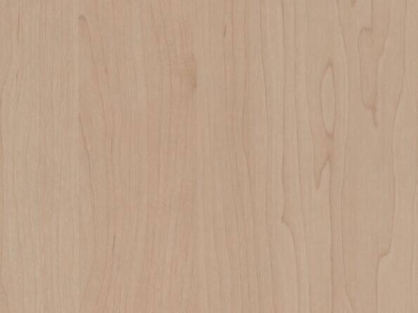 R27024_Bergahorn_Detail.jpg