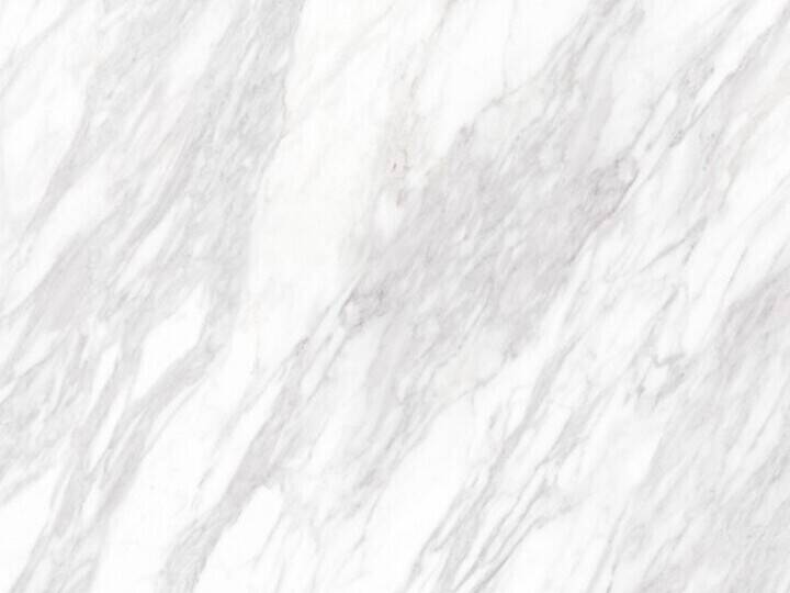 K023-Venato1.jpg