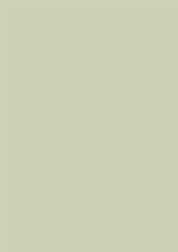 22812_Jade_Dekorbild.jpg