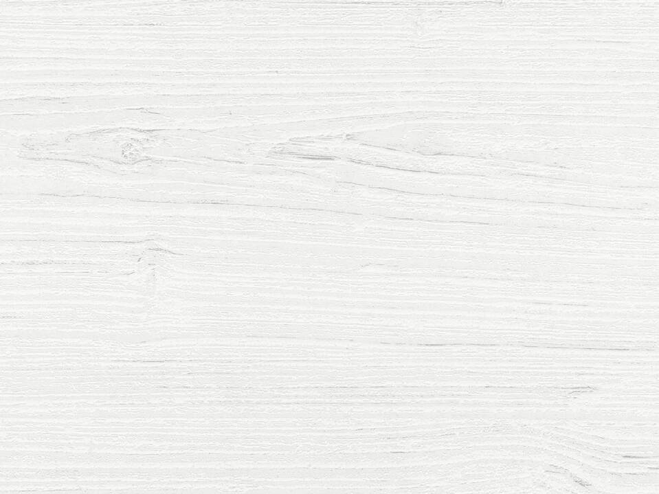 03.859_dekorpaneele_kiefer_weiss_frontal.jpg