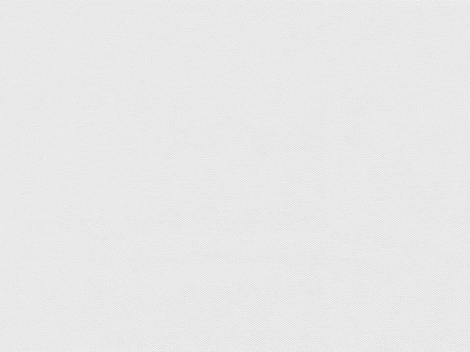 03.854_dekorpaneele_mesh_weiss_frontal.jpg