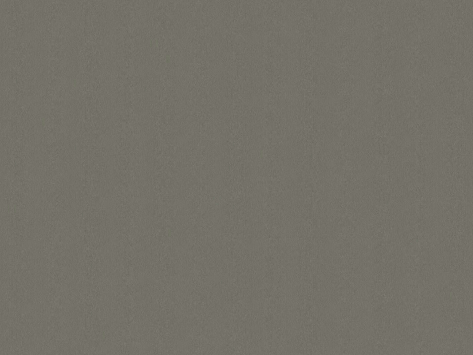 PFLEIDERER_F76159_bearbeitet.jpg