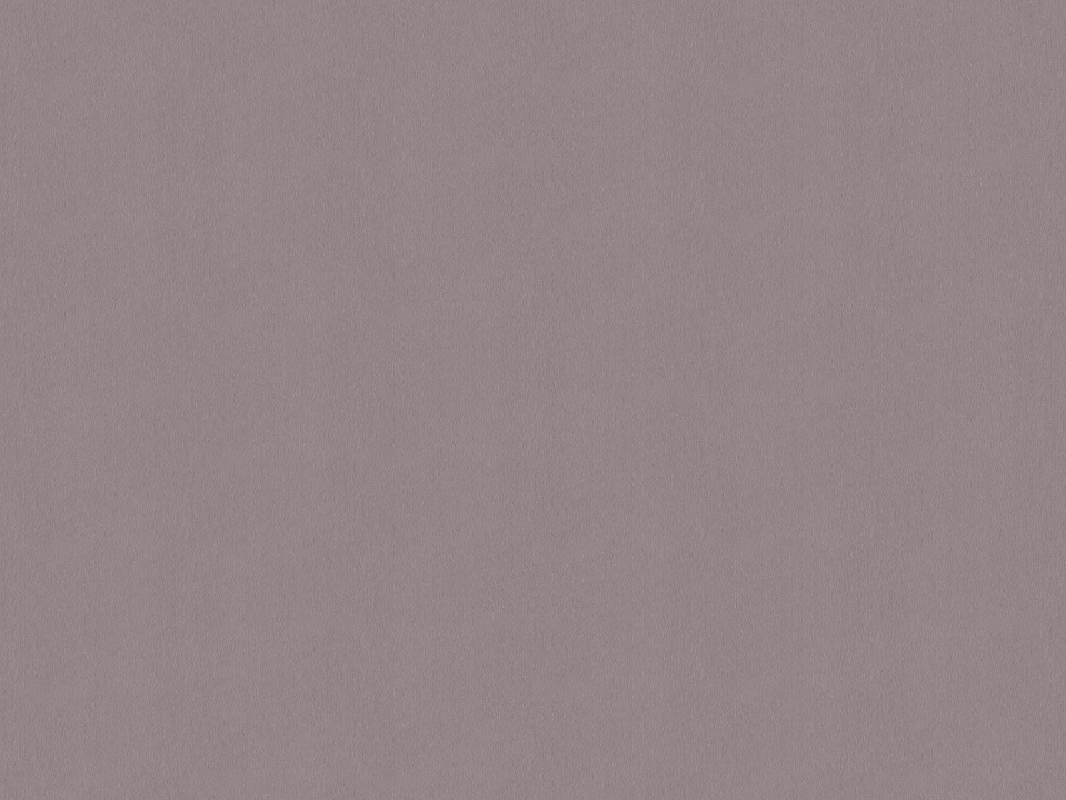 PFLEIDERER_F76171_bearbeitet.jpg