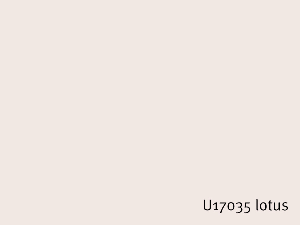 U17035_lotus.jpg