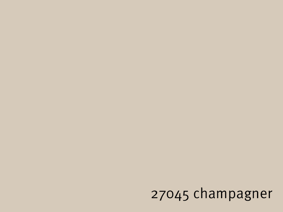 27045_champagner.jpg