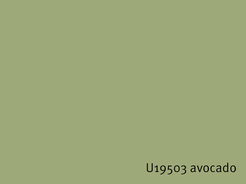 U19503_avocado.jpg