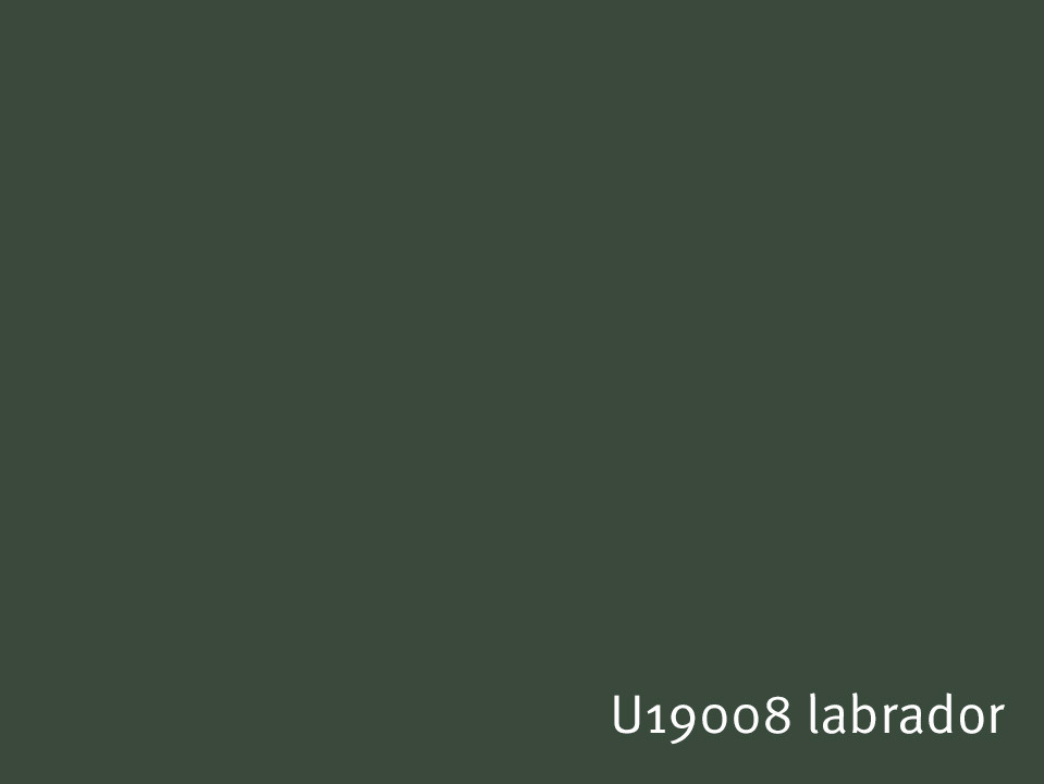 U19008_labrador.jpg