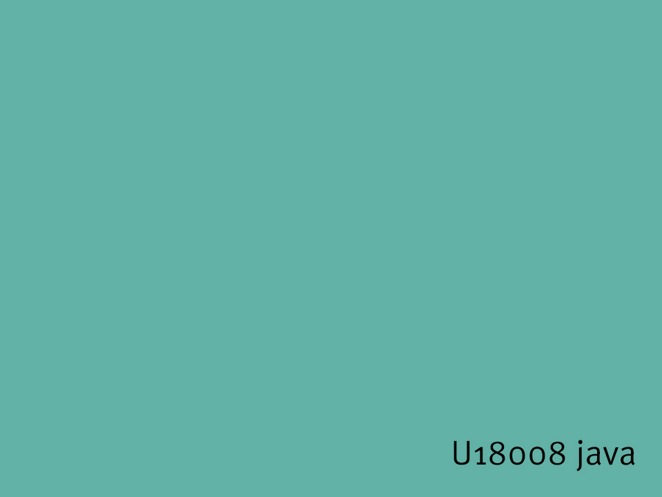 U18008_java.jpg