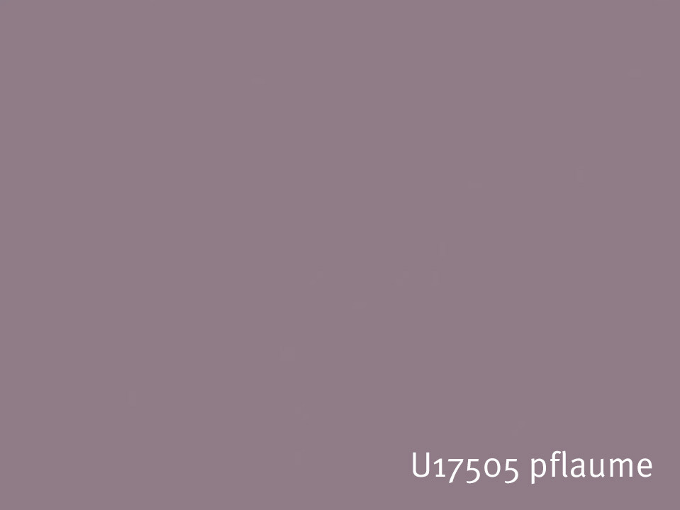 U17505_pflaume.jpg