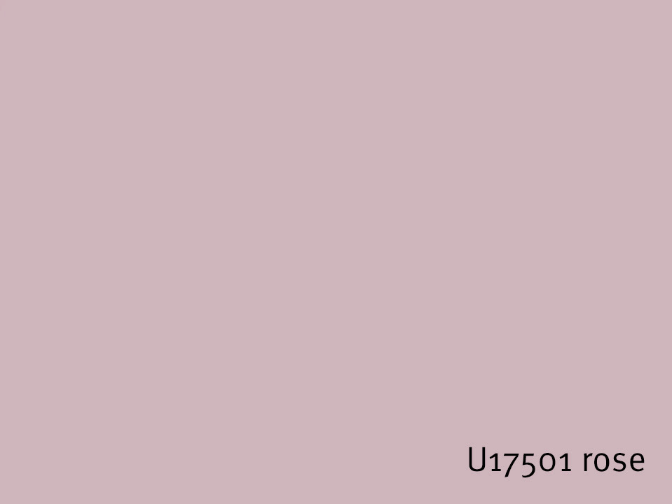U17501_rose.jpg