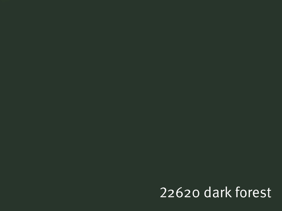 22620_dark_forest.jpg