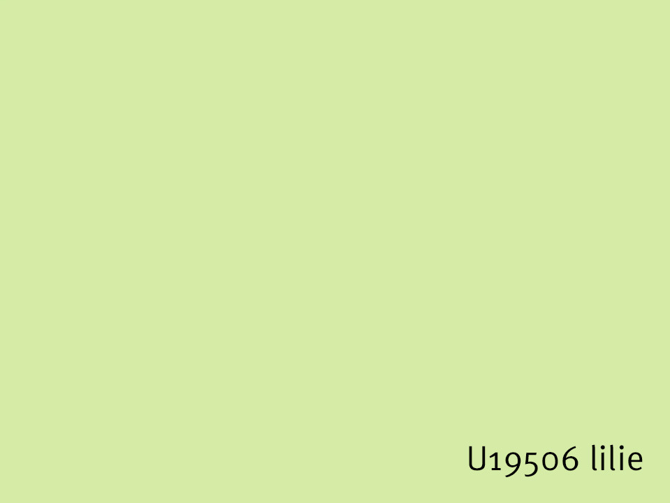U19506_lilie.jpg