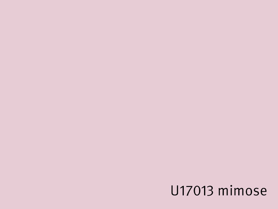 U17013_mimose.jpg