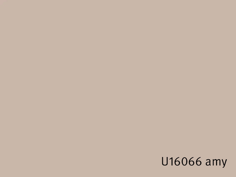 U16066_amy.jpg