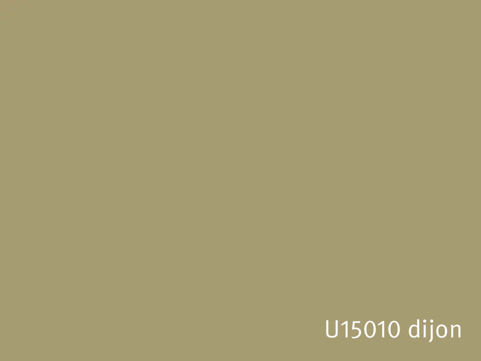 U15010_dijon.jpg