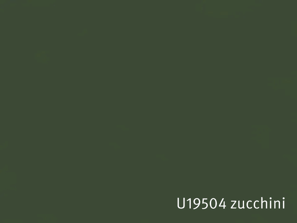 U19504_zucchini.jpg